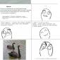 Swan Rage