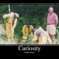 Curiocity