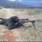 Monkey Snipers