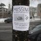 Missing - Turtle and Nunchucks
