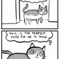 Doorway Cat