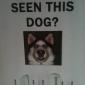 Have You Seen This Dog?