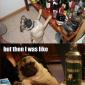 Party Dog