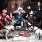 Dog Scrabble Fight
