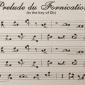 Prelude To Fornication