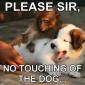 Please Sir