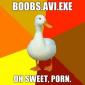 boobs.avi.exe