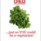This Lettuce Died