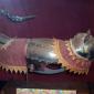 Cat Armor