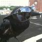 Cool Bird