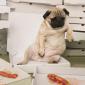 I Ate Way Too Much