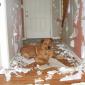 Like What I Did With The Place?