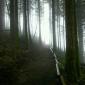 Morning Hike