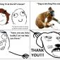 Itchy Dog