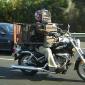 Motorcycle Transport