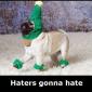 Haters Gonna Hate