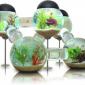 Labyrinth Aquarium