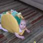 Taco Baby