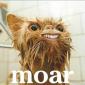 moar