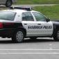 Sandwich Police