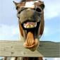 Heyyyyyyyyyyyyy
