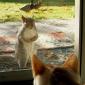 Please Your Highness...