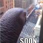 Soon...