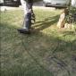 Just Vacuuming The Lawn...
