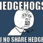 Hedgehogs