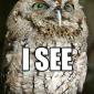 I See