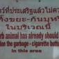 Superb animal has already should not abandon the garbage