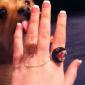 Chomp ring