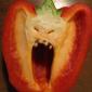 He's Gonna Eat You