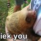 I liek you