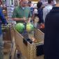 Just Shopping