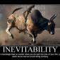Bull Riding Monkey