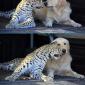Best Friends