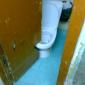 Toilet Door
