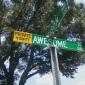 Awesome Street