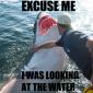 Excuse Me...