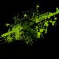 AK Paint