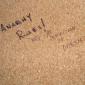 Anarchy Rules!