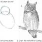 How To Draw An Owl