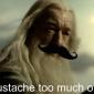 I Mustache Too Much