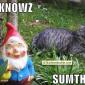 He Knowz Sumthin