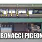 Fibonacci Pigeons