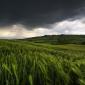 Nature's Vista