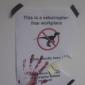 Raptor Free Zone