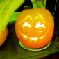 Psftfsfftttt Pumpkin
