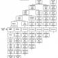 Family Relationship Chart